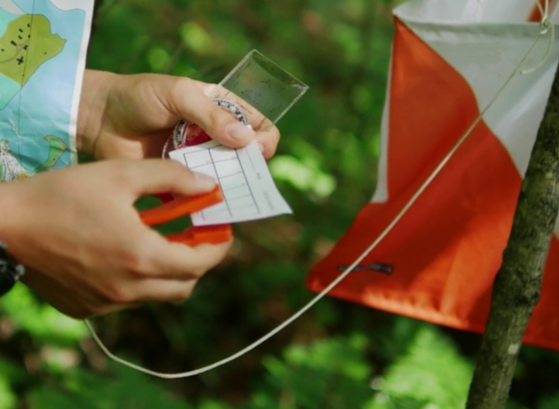 punzonatura cartellino Orienteering