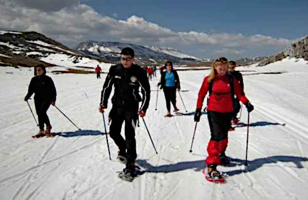 Winter Nordic Walking